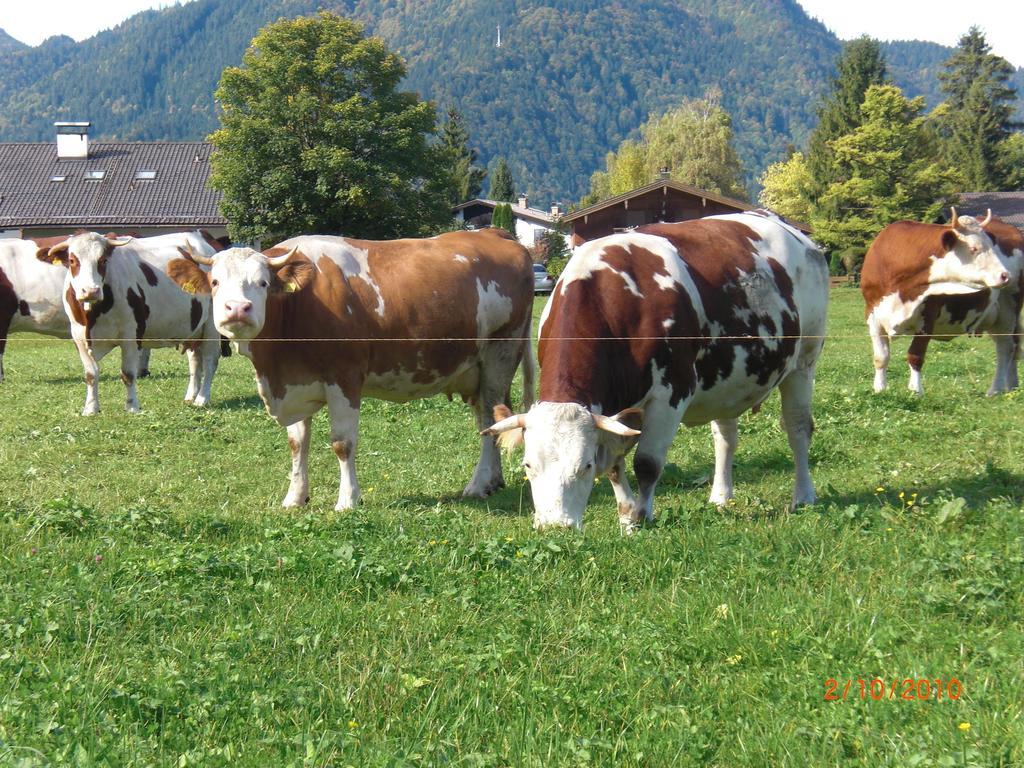 Familien-Bauernhof-Berghammer Rottach-Egern Bagian luar foto